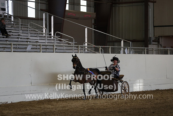 CA_Springfest19_SatPM_2521
