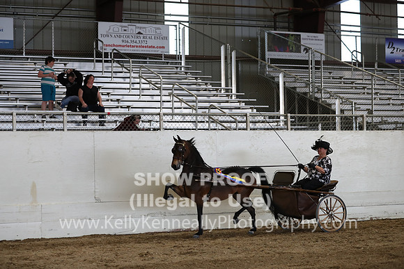 CA_Springfest19_SatPM_2529