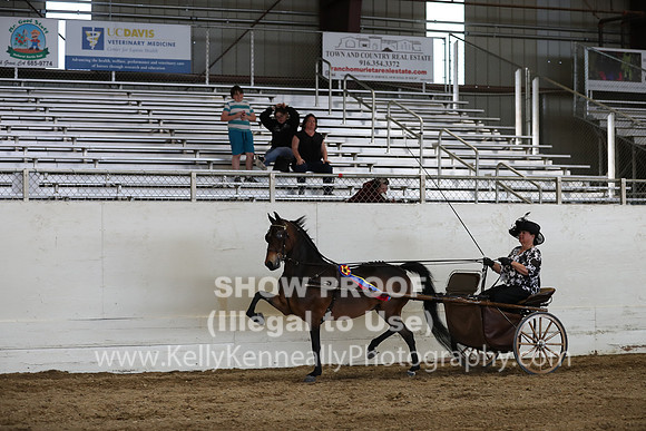 CA_Springfest19_SatPM_2531