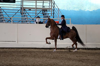 CA_Springfest19_SatPM_2668