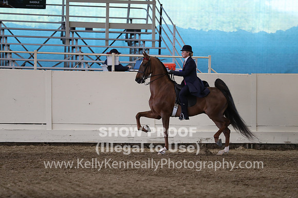 CA_Springfest19_SatPM_2668