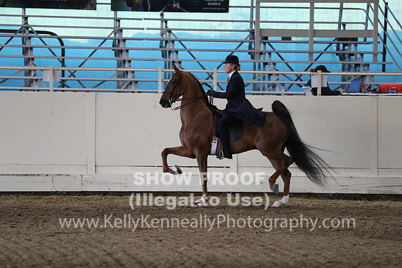 CA_Springfest19_SatPM_2671