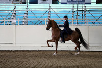 CA_Springfest19_SatPM_2673