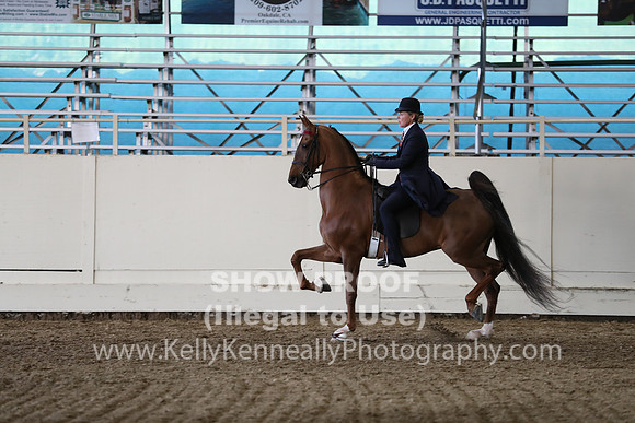 CA_Springfest19_SatPM_2673