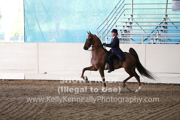 CA_Springfest19_SatPM_2675