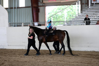 CA_Springfest19_SatAM_1594