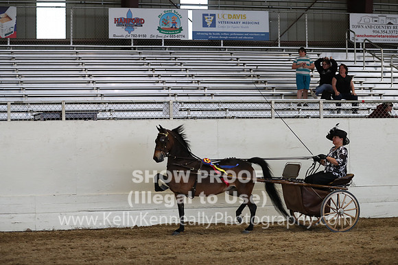 CA_Springfest19_SatPM_2535
