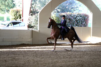 CA_Springfest19_SatPM_2679