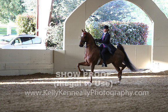 CA_Springfest19_SatPM_2679