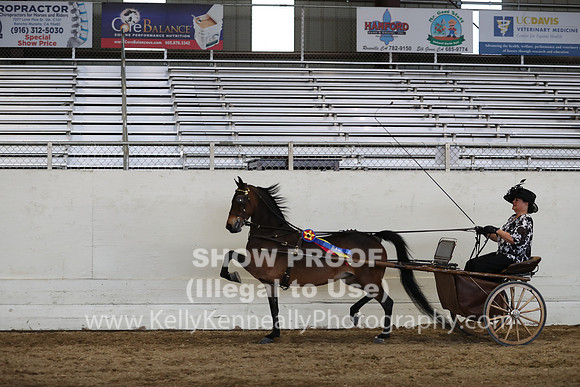 CA_Springfest19_SatPM_2538