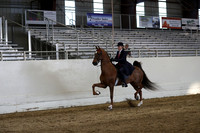 CA_Springfest19_SatPM_2684
