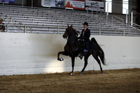 CA_Springfest19_SatPM_2689