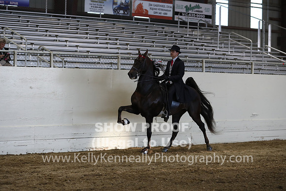 CA_Springfest19_SatPM_2689