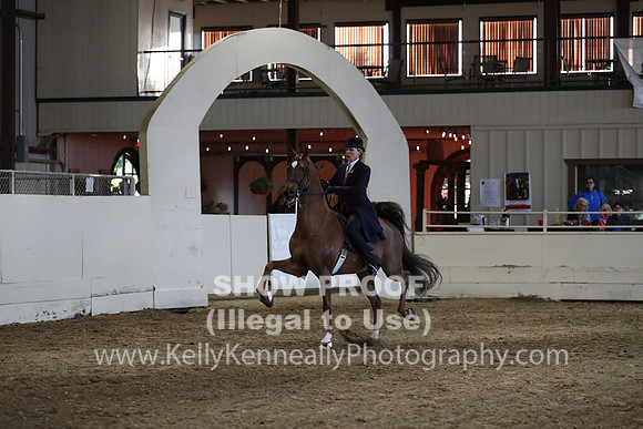 CA_Springfest19_SatPM_2691