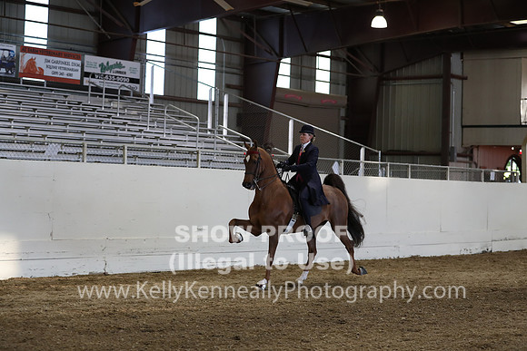 CA_Springfest19_SatPM_2694