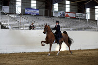 CA_Springfest19_SatPM_2696