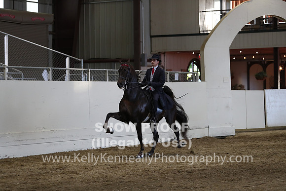 CA_Springfest19_SatPM_2701