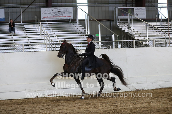 CA_Springfest19_SatPM_2704