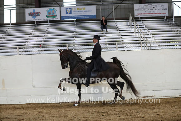 CA_Springfest19_SatPM_2705