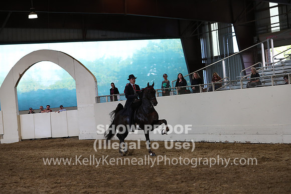 CA_Springfest19_SatPM_2708