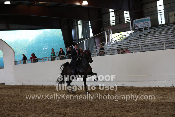CA_Springfest19_SatPM_2709