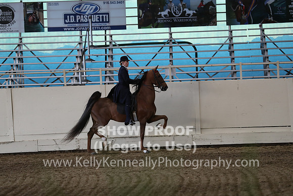 CA_Springfest19_SatPM_2712