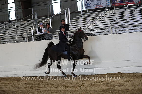 CA_Springfest19_SatPM_2722