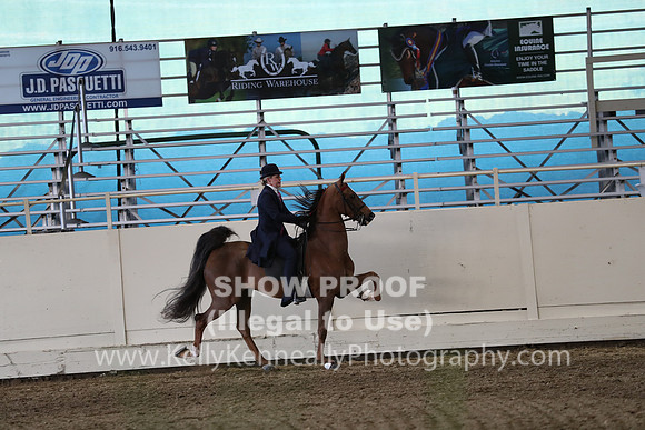 CA_Springfest19_SatPM_2724
