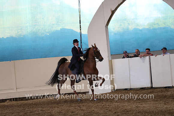 CA_Springfest19_SatPM_2727