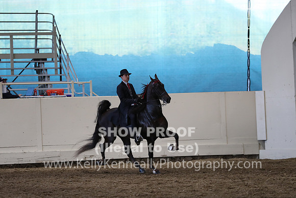 CA_Springfest19_SatPM_2734