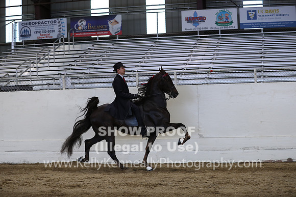 CA_Springfest19_SatPM_2745