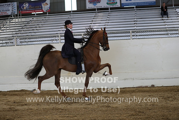 CA_Springfest19_SatPM_2760