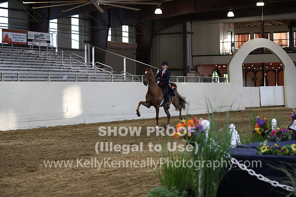 CA_Springfest19_SatPM_2765