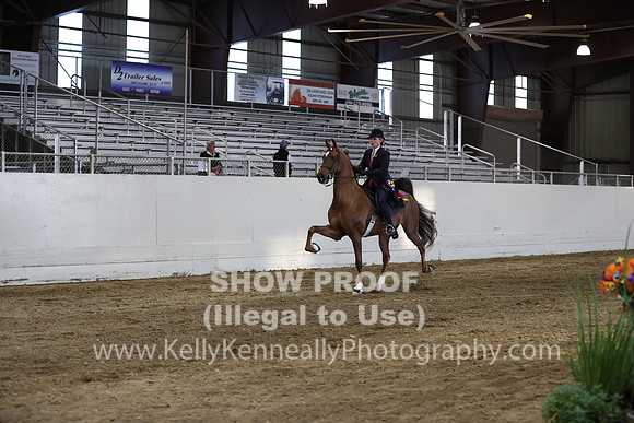 CA_Springfest19_SatPM_2772