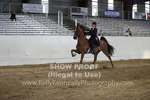 CA_Springfest19_SatPM_2779