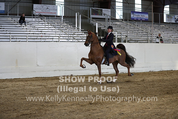 CA_Springfest19_SatPM_2780