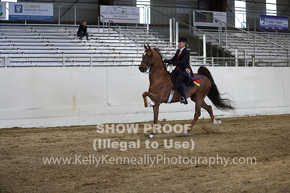 CA_Springfest19_SatPM_2783