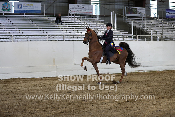 CA_Springfest19_SatPM_2784
