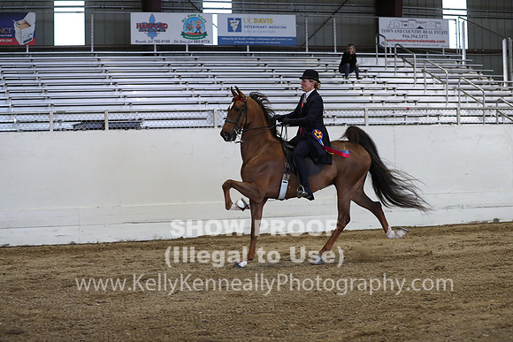 CA_Springfest19_SatPM_2787