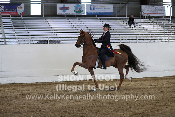 CA_Springfest19_SatPM_2788