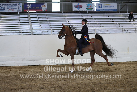 CA_Springfest19_SatPM_2791