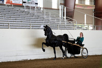 CA_Springfest19_Sun_2863