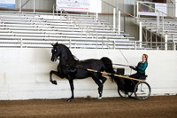 CA_Springfest19_Sun_2866