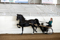 CA_Springfest19_Sun_2867