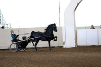 CA_Springfest19_Sun_2869