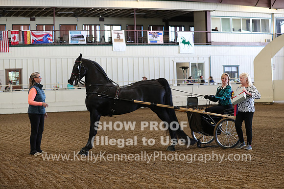 CA_Springfest19_Sun_2876