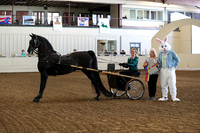 CA_Springfest19_Sun_2878