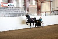 CA_Springfest19_Sun_2884