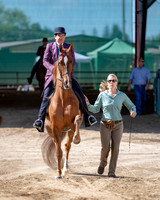 Class 87 ASB Three Gaited Country Pleasure Stake