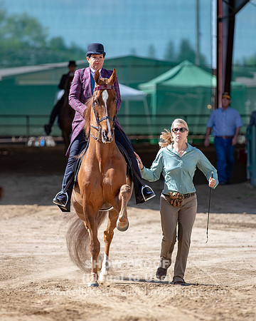 CA_Springfest19_Sun_2895